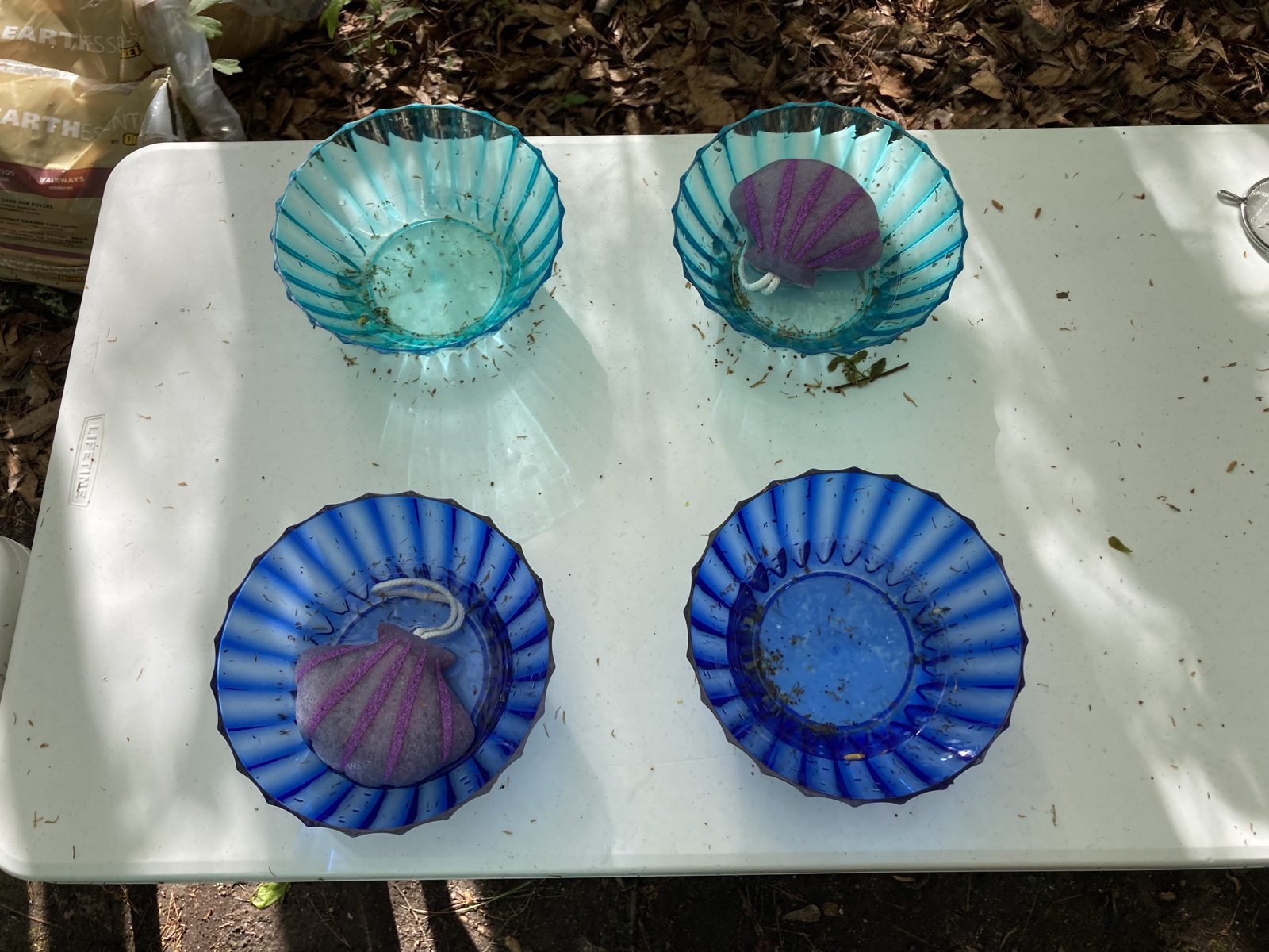 Blue and teal shell bowls set up for a treasure game